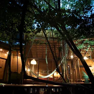 Ojo De árbol, Boutique In The Jungle. Relax Villa
